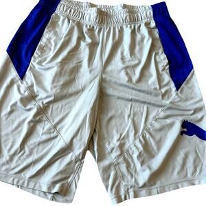 Puma Men's L Shorts Big CAT Logo Drycell Logo Drawstring Gray Blue Gym Stretch